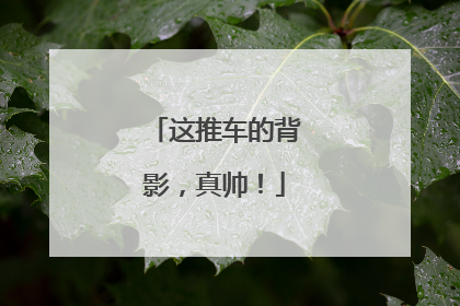 这推车的背影，真帅！