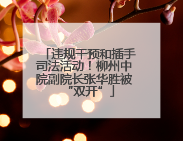 违规干预和插手司法活动！柳州中院副院长张华胜被“双开”