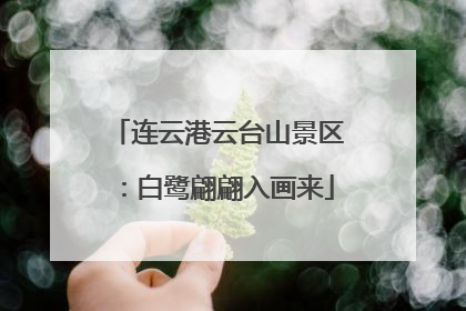 连云港云台山景区：白鹭翩翩入画来