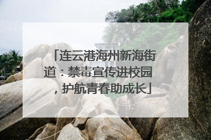 连云港海州新海街道：禁毒宣传进校园，护航青春助成长