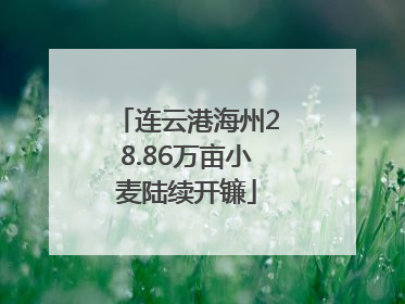 连云港海州28.86万亩小麦陆续开镰