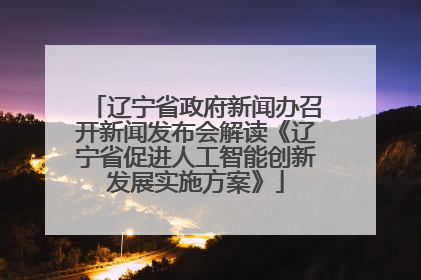辽宁省政府新闻办召开新闻发布会解读《辽宁省促进人工智能创新发展实施方案》