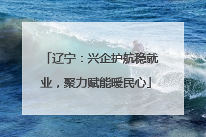 辽宁：兴企护航稳就业，聚力赋能暖民心
