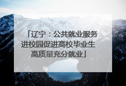 辽宁：公共就业服务进校园促进高校毕业生高质量充分就业