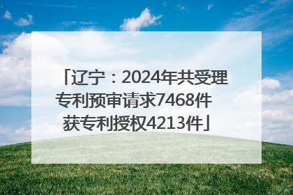辽宁：2024年共受理专利预审请求7468件 获专利授权4213件