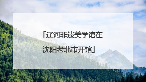 辽河非遗美学馆在沈阳老北市开馆