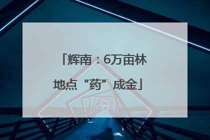 辉南：6万亩林地点“药”成金