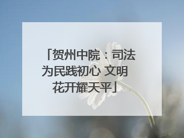 贺州中院:司法为民践初心 文明花开耀天平