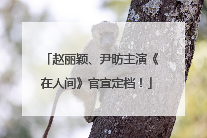 赵丽颖、尹昉主演《在人间》官宣定档！