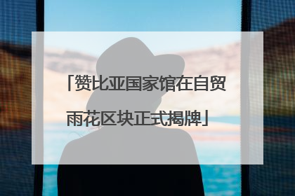 赞比亚国家馆在自贸雨花区块正式揭牌