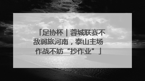 足协杯｜蓉城联赛不敌弱旅河南，泰山主场作战不妨“抄作业”