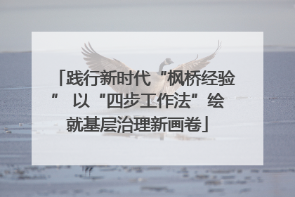 践行新时代“枫桥经验” 以“四步工作法”绘就基层治理新画卷
