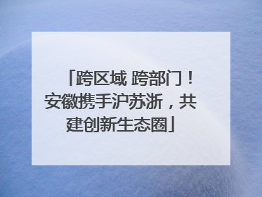 跨区域 跨部门！安徽携手沪苏浙，共建创新生态圈
