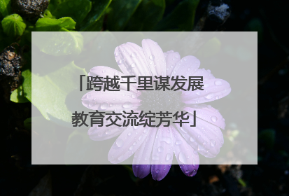 跨越千里谋发展 教育交流绽芳华