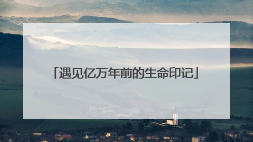 遇见亿万年前的生命印记