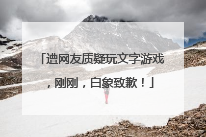 遭网友质疑玩文字游戏，刚刚，白象致歉！