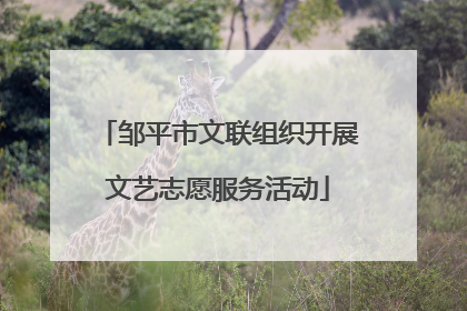 邹平市文联组织开展文艺志愿服务活动