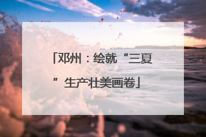 邓州：绘就“三夏”生产壮美画卷
