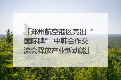 郑州航空港区亮出“国际牌” 中韩合作交流会释放产业新动能