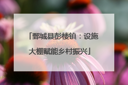 鄄城县彭楼镇：设施大棚赋能乡村振兴