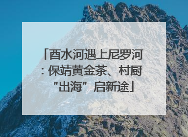酉水河遇上尼罗河：保靖黄金茶、村厨“出海”启新途