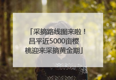 采摘路线图来啦！昌平近5000亩樱桃迎来采摘黄金期