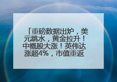 重磅数据出炉，美元跳水，黄金拉升！中概股大涨！英伟达涨超4%，市值重返全球第一！黄仁勋计划出售至多600万股股票