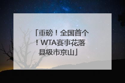 重磅！全国首个！WTA赛事花落县级市京山