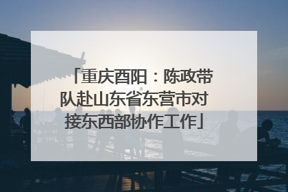 重庆酉阳：陈政带队赴山东省东营市对接东西部协作工作