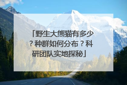 野生大熊猫有多少？种群如何分布？科研团队实地探秘