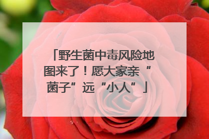 野生菌中毒风险地图来了！愿大家亲“菌子”远“小人”