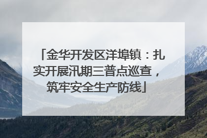 金华开发区洋埠镇：扎实开展汛期三普点巡查，筑牢安全生产防线