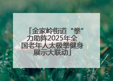 金家岭街道“拳”力助阵2025年全国老年人太极拳健身展示大联动