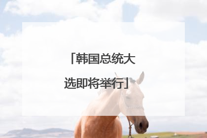 韩国总统大选即将举行