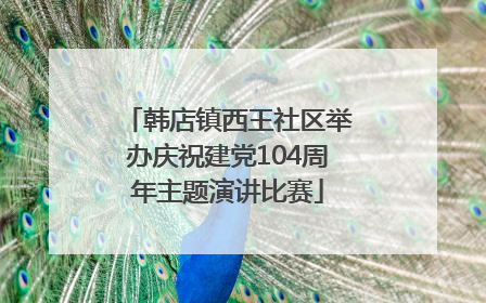 韩店镇西王社区举办庆祝建党104周年主题演讲比赛