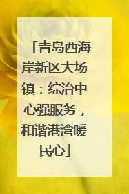 青岛西海岸新区大场镇：综治中心强服务，和谐港湾暖民心