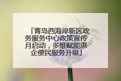 青岛西海岸新区政务服务中心政策宣传月启动，多维赋能惠企便民服务升级