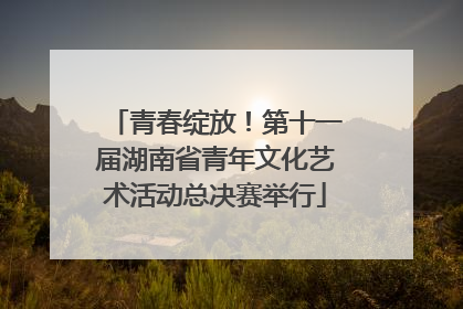 青春绽放！第十一届湖南省青年文化艺术活动总决赛举行