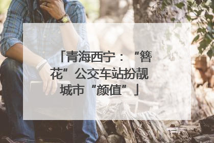 青海西宁：“簪花”公交车站扮靓城市“颜值”
