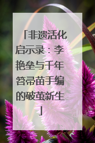 非遗活化启示录：李艳垒与千年笤帚苗手编的破茧新生