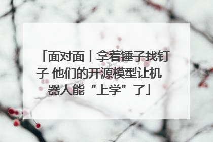 面对面丨拿着锤子找钉子 他们的开源模型让机器人能“上学”了