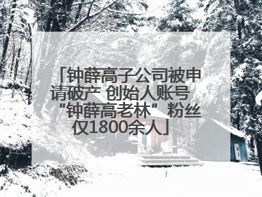 钟薛高子公司被申请破产 创始人账号“钟薛高老林”粉丝仅1800余人