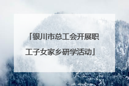 银川市总工会开展职工子女家乡研学活动