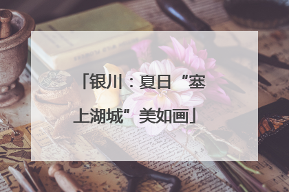 银川：夏日“塞上湖城”美如画