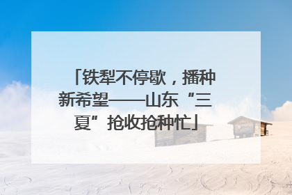 铁犁不停歇，播种新希望——山东“三夏”抢收抢种忙