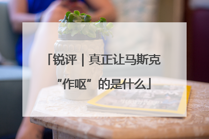 锐评｜真正让马斯克“作呕”的是什么