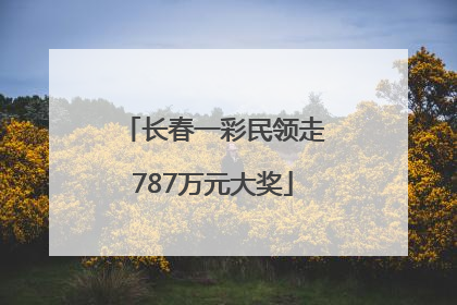 长春一彩民领走787万元大奖
