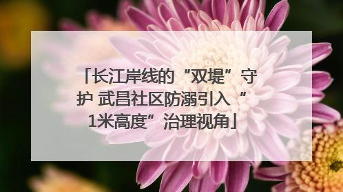 长江岸线的“双堤”守护 武昌社区防溺引入“1米高度”治理视角