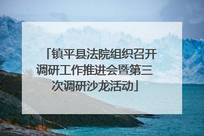 镇平县法院组织召开调研工作推进会暨第三次调研沙龙活动