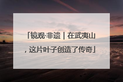 镜观·非遗｜在武夷山，这片叶子创造了传奇